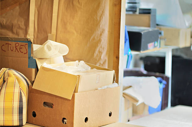 Best Professional Junk Removal  in Mapleton, ND